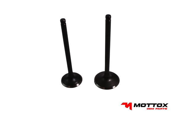 VALVULA DE ADMISION-ESCAPE PICO CORTO M1R TRAIL 250 